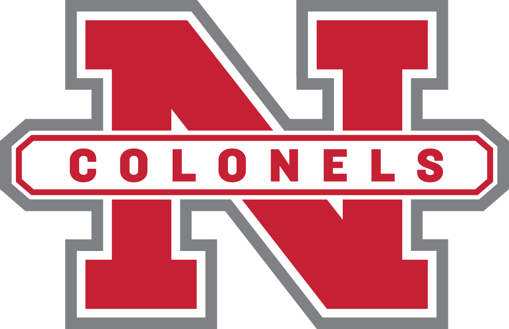 Nicholls State Colonels 2005-2008 Secondary Logo iron on transfers for fabric